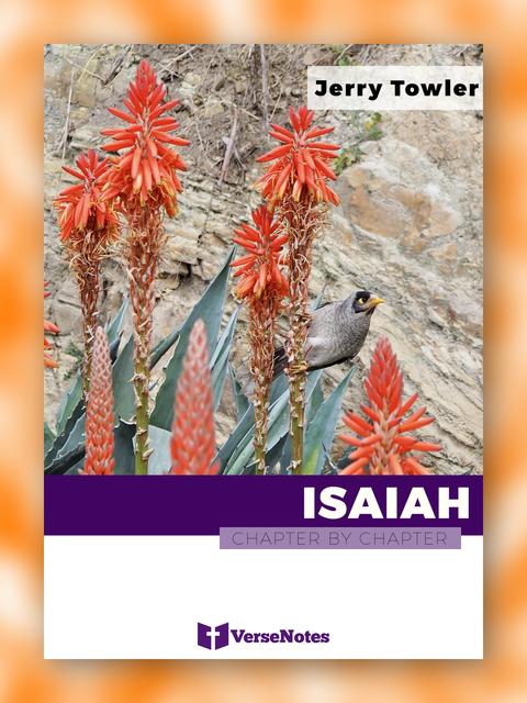 Isaiah Chapter By Chapter guide cover