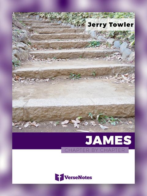 James Chapter By Chapter guide cover