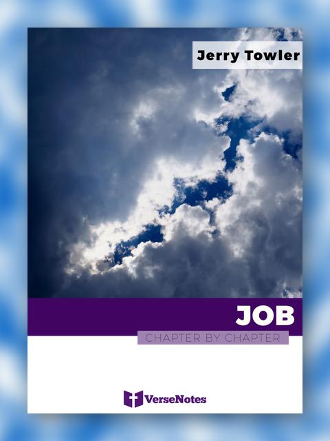 Job Chapter By Chapter guide cover