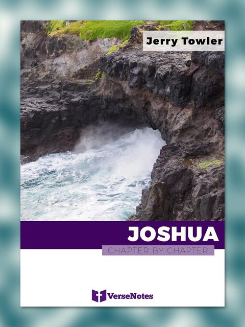 Joshua Chapter By Chapter guide cover