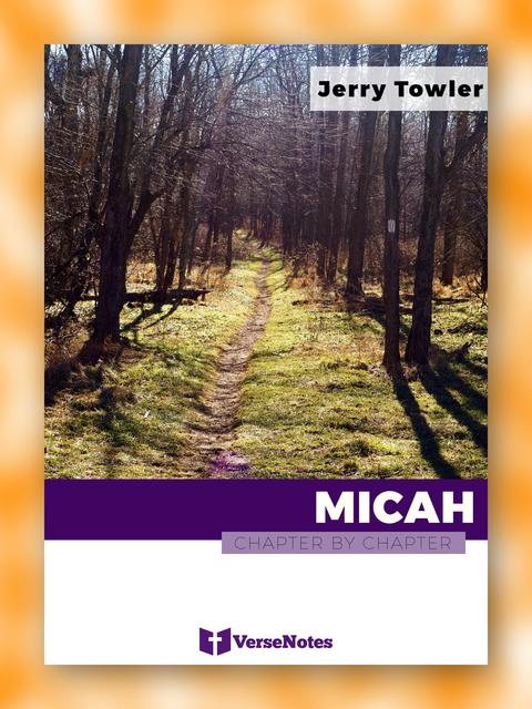 Micah Chapter By Chapter guide cover