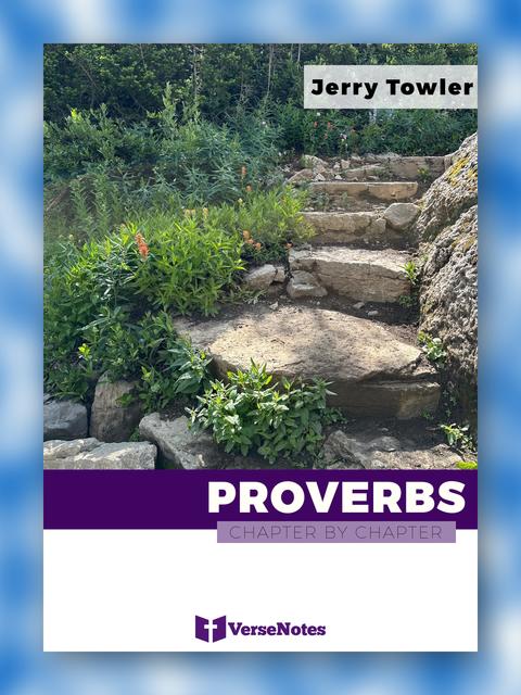 Proverbs Chapter By Chapter guide cover