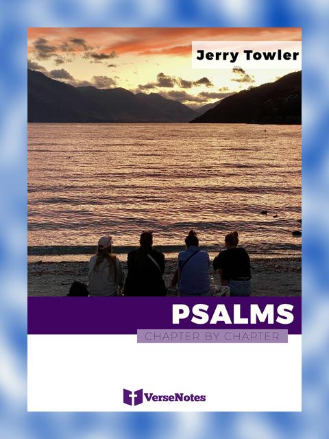 Psalms Chapter By Chapter guide cover
