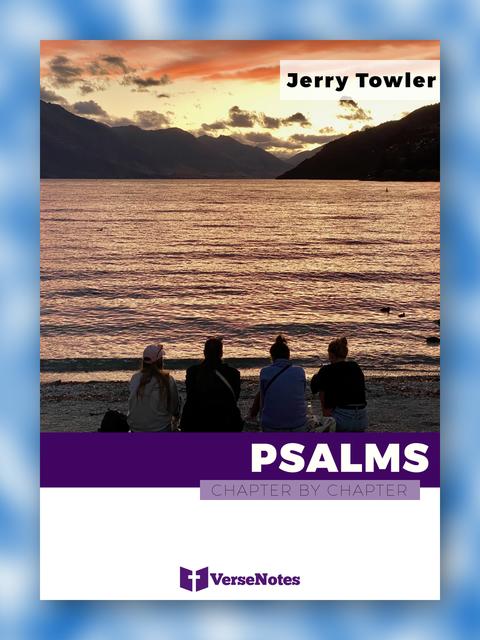 Psalms Chapter By Chapter guide cover