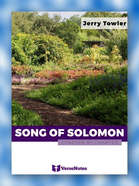 Song of Solomon Chapter By Chapter guide cover