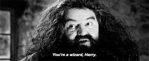 Hagrid telling Harry Potter, “You’re a wizard, Harry”